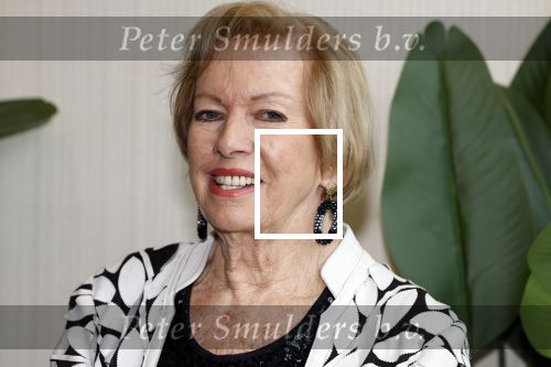Leidschendam 18 december 203
Society Lunch in Fletcher Hotel Leidschendam. Ria Valk met vriend