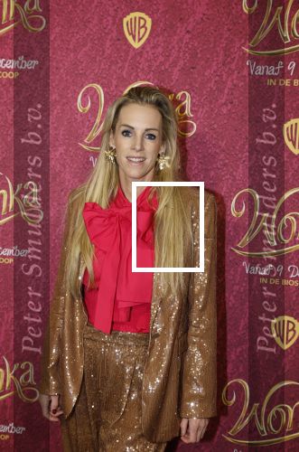Amsterdam 8 december 2023
Premiere Wonka in Pathe Noord. roos Reedijk met kinderen