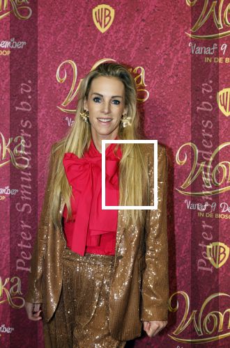 Amsterdam 8 december 2023
Premiere Wonka in Pathe Noord. roos Reedijk met kinderen