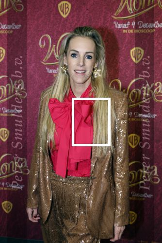 Amsterdam 8 december 2023
Premiere Wonka in Pathe Noord. roos Reedijk met kinderen