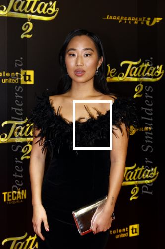 Amsterdam 12 december 2023
Premiere de tata\'s in Tuschinski. Roosmarijn Windt