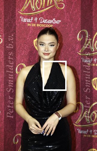Amsterdam 8 december 2023
Premiere Wonka in Pathe Noord. Stefania
