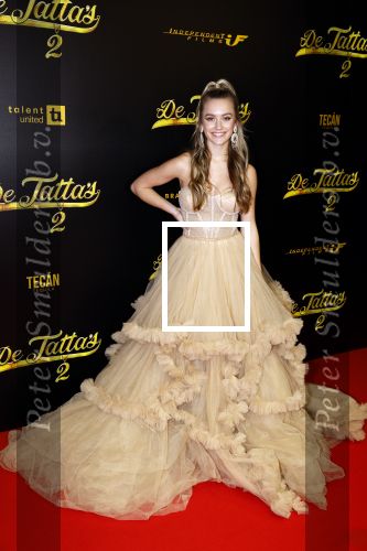 Amsterdam 12 december 2023
Premiere de tata\'s in Tuschinski. Sterre Koning