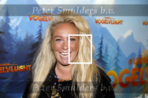 Amsterdam 2 december 2023
Premiere vogelvlucht in Pathe arena .
De cast met oa Floris Gobel Edsilia Rombley Linda Wagemakers Rayen Panday Posy Bakkum Imaani Oosterhuis Karin Bloemen en Thomas Koekkoek. Valerie Gumster