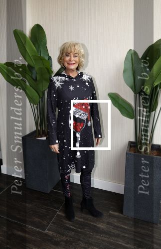 Leidschendam 18 december 203
Society Lunch in Fletcher Hotel Leidschendam. Vivian Boelen