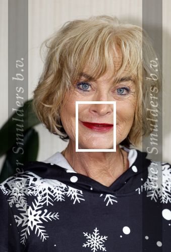 Leidschendam 18 december 203
Society Lunch in Fletcher Hotel Leidschendam. Vivian Boelen