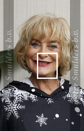 Leidschendam 18 december 203
Society Lunch in Fletcher Hotel Leidschendam. Vivian Boelen