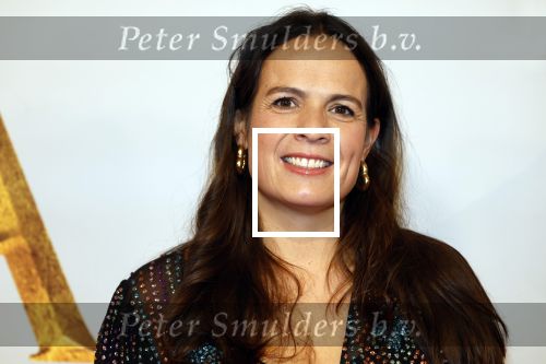 Amsterdam 17 december 2024
Premiere Mufasa (disney) in hotel l\'Europe. Aletha Leidelmeijer met partner