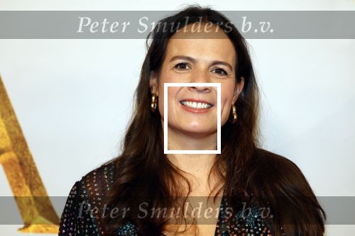 Amsterdam 17 december 2024
Premiere Mufasa (disney) in hotel l\'Europe. Aletha Leidelmeijer met partner