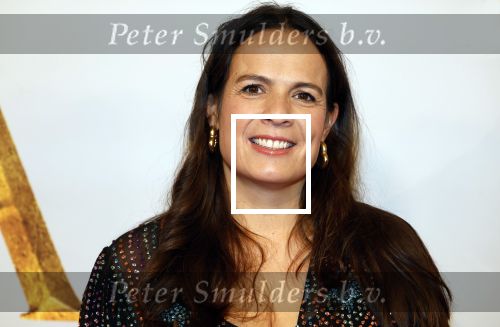 Amsterdam 17 december 2024
Premiere Mufasa (disney) in hotel l\'Europe. Aletha Leidelmeijer met partner