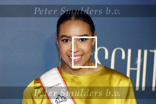 Amsterdam 9 december 2024
Premiere Schitetrend met in de hoofdrollen Holly Brood Gijs Scholten v Asschat Caro Lenssen Hannah Hoekstra Maarten Heijemans Bobbie Mulder Sidar Toksoz  in Tuschinski. Amber Rustenberg