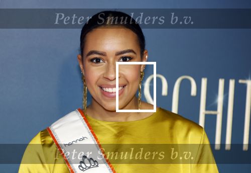 Amsterdam 9 december 2024
Premiere Schitetrend met in de hoofdrollen Holly Brood Gijs Scholten v Asschat Caro Lenssen Hannah Hoekstra Maarten Heijemans Bobbie Mulder Sidar Toksoz  in Tuschinski. Amber Rustenberg