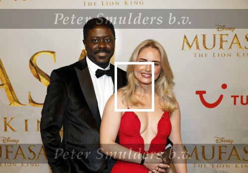 Amsterdam 17 december 2024
Premiere Mufasa (disney) in hotel l\'Europe. Andre Dongelmans en ...
