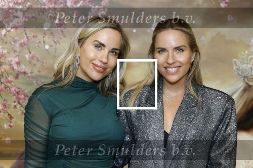 Amsterdam 3 december 2024
Premiere Wicked in Tuschinski. Anne Vedder en Ester Vedder