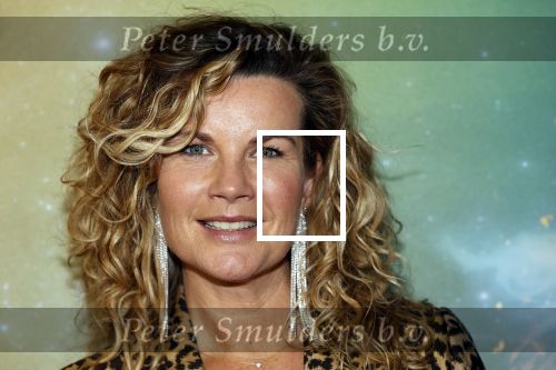 Amsterdam 8 december 2024
Premiere Juf Brakel in Pathe Arena met in de hoofdrollen Nicolette v Dam Martijn Fischer Annette Barlo Ditmar Marlin Flint de Man Floris Gobel Annick Boer Aram v d Rest Bart Oomen Carolina Dijkhuizen ea. Annete Barlo kwam met haar man