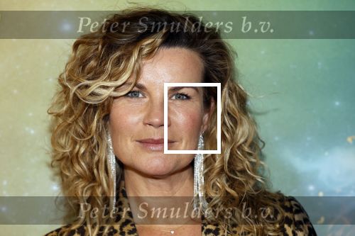 Amsterdam 8 december 2024
Premiere Juf Brakel in Pathe Arena met in de hoofdrollen Nicolette v Dam Martijn Fischer Annette Barlo Ditmar Marlin Flint de Man Floris Gobel Annick Boer Aram v d Rest Bart Oomen Carolina Dijkhuizen ea. Annete Barlo kwam met haar man
