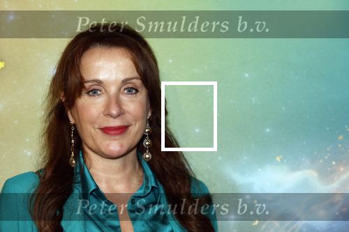 Amsterdam 8 december 2024
Premiere Juf Brakel in Pathe Arena met in de hoofdrollen Nicolette v Dam Martijn Fischer Annette Barlo Ditmar Marlin Flint de Man Floris Gobel Annick Boer Aram v d Rest Bart Oomen Carolina Dijkhuizen ea.