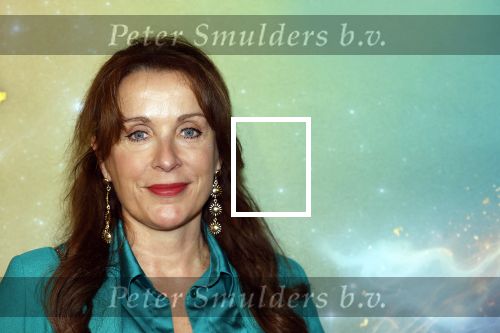 Amsterdam 8 december 2024
Premiere Juf Brakel in Pathe Arena met in de hoofdrollen Nicolette v Dam Martijn Fischer Annette Barlo Ditmar Marlin Flint de Man Floris Gobel Annick Boer Aram v d Rest Bart Oomen Carolina Dijkhuizen ea.