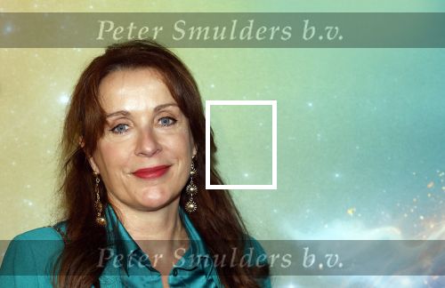 Amsterdam 8 december 2024
Premiere Juf Brakel in Pathe Arena met in de hoofdrollen Nicolette v Dam Martijn Fischer Annette Barlo Ditmar Marlin Flint de Man Floris Gobel Annick Boer Aram v d Rest Bart Oomen Carolina Dijkhuizen ea.