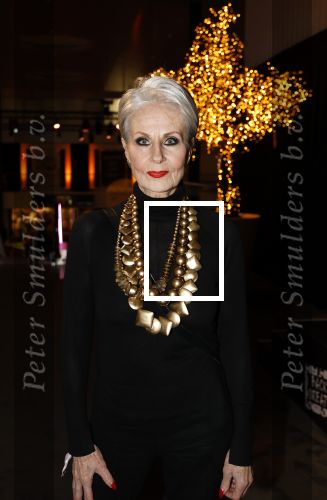 Amsterdam 15 en 16  december 2024
Masters Expo in de RAI. Ans Markus