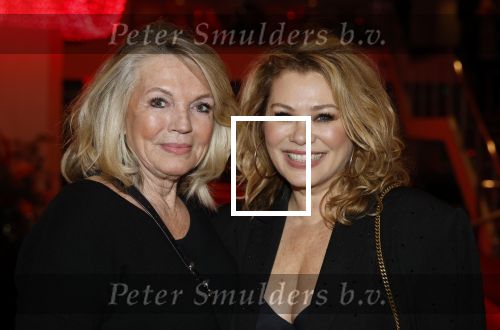 Utrecht 16 december 2024
Nurlaila 50 jaar bij show van Tina Turner in Beatrix Theater. Antje Monteiro