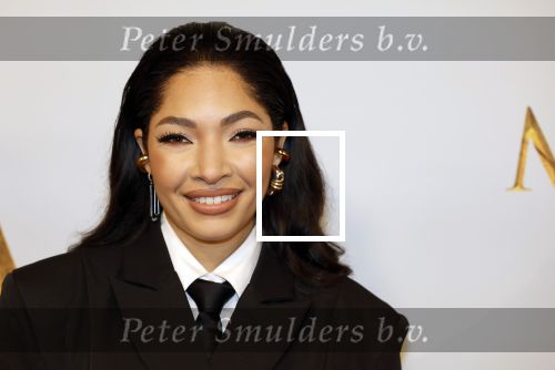 Amsterdam 17 december 2024
Premiere Mufasa (disney) in hotel l\'Europe. April Darby met partner
