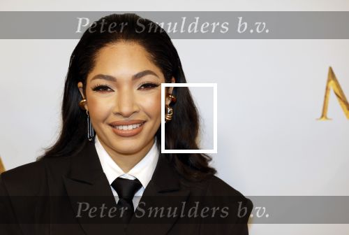 Amsterdam 17 december 2024
Premiere Mufasa (disney) in hotel l\'Europe. April Darby met partner