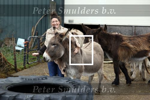 Kamperland 19 december 2024
Bianca Plune van Big Brother bij haar thuis . Haar bedrijf heet het ezelhuis