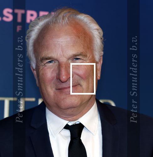 Amsterdam 9 december 2024
Premiere Schitetrend met in de hoofdrollen Holly Brood Gijs Scholten v Asschat Caro Lenssen Hannah Hoekstra Maarten Heijemans Bobbie Mulder Sidar Toksoz  in Tuschinski. Bob Sikkes kwam met een collega