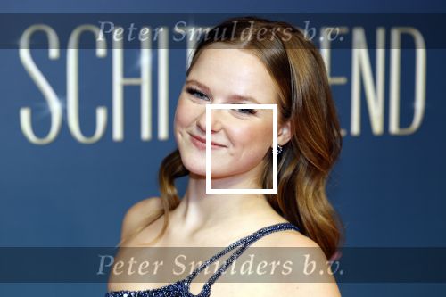 Amsterdam 9 december 2024
Premiere Schitetrend met in de hoofdrollen Holly Brood Gijs Scholten v Asschat Caro Lenssen Hannah Hoekstra Maarten Heijemans Bobbie Mulder Sidar Toksoz  in Tuschinski.