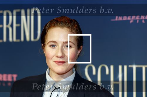Amsterdam 9 december 2024
Premiere Schitetrend met in de hoofdrollen Holly Brood Gijs Scholten v Asschat Caro Lenssen Hannah Hoekstra Maarten Heijemans Bobbie Mulder Sidar Toksoz  in Tuschinski. Britte Lagcher