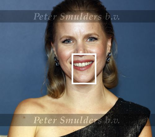 Amsterdam 9 december 2024
Premiere Schitetrend met in de hoofdrollen Holly Brood Gijs Scholten v Asschat Caro Lenssen Hannah Hoekstra Maarten Heijemans Bobbie Mulder Sidar Toksoz  in Tuschinski.