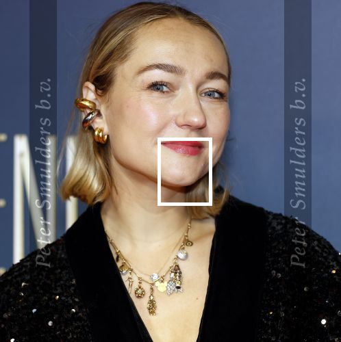Amsterdam 9 december 2024
Premiere Schitetrend met in de hoofdrollen Holly Brood Gijs Scholten v Asschat Caro Lenssen Hannah Hoekstra Maarten Heijemans Bobbie Mulder Sidar Toksoz  in Tuschinski. carolien Spoor en Ferry Stofmeel