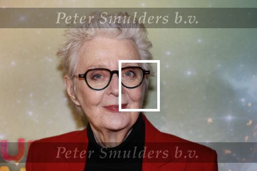 Amsterdam 8 december 2024
Premiere Juf Brakel in Pathe Arena met in de hoofdrollen Nicolette v Dam Martijn Fischer Annette Barlo Ditmar Marlin Flint de Man Floris Gobel Annick Boer Aram v d Rest Bart Oomen Carolina Dijkhuizen ea. Carry Slee