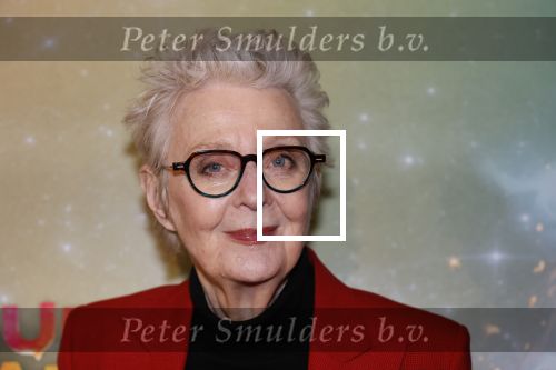 Amsterdam 8 december 2024
Premiere Juf Brakel in Pathe Arena met in de hoofdrollen Nicolette v Dam Martijn Fischer Annette Barlo Ditmar Marlin Flint de Man Floris Gobel Annick Boer Aram v d Rest Bart Oomen Carolina Dijkhuizen ea. Carry Slee
