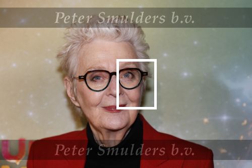 Amsterdam 8 december 2024
Premiere Juf Brakel in Pathe Arena met in de hoofdrollen Nicolette v Dam Martijn Fischer Annette Barlo Ditmar Marlin Flint de Man Floris Gobel Annick Boer Aram v d Rest Bart Oomen Carolina Dijkhuizen ea. Carry Slee