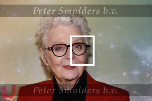 Amsterdam 8 december 2024
Premiere Juf Brakel in Pathe Arena met in de hoofdrollen Nicolette v Dam Martijn Fischer Annette Barlo Ditmar Marlin Flint de Man Floris Gobel Annick Boer Aram v d Rest Bart Oomen Carolina Dijkhuizen ea. Carry Slee