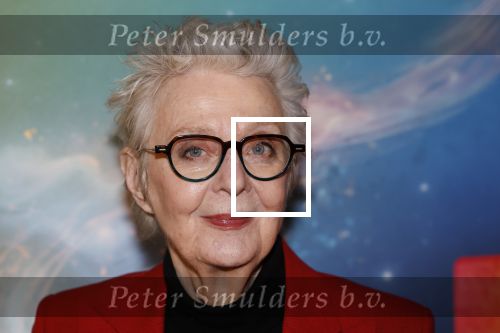 Amsterdam 8 december 2024
Premiere Juf Brakel in Pathe Arena met in de hoofdrollen Nicolette v Dam Martijn Fischer Annette Barlo Ditmar Marlin Flint de Man Floris Gobel Annick Boer Aram v d Rest Bart Oomen Carolina Dijkhuizen ea. Carry Slee