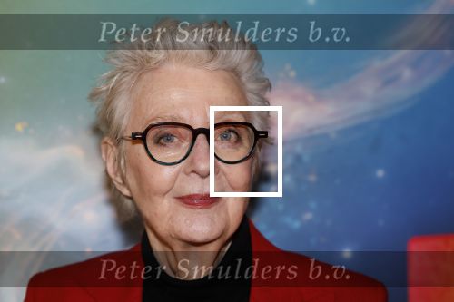 Amsterdam 8 december 2024
Premiere Juf Brakel in Pathe Arena met in de hoofdrollen Nicolette v Dam Martijn Fischer Annette Barlo Ditmar Marlin Flint de Man Floris Gobel Annick Boer Aram v d Rest Bart Oomen Carolina Dijkhuizen ea. Carry Slee