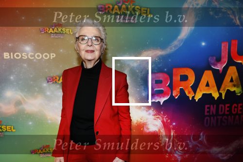 Amsterdam 8 december 2024
Premiere Juf Brakel in Pathe Arena met in de hoofdrollen Nicolette v Dam Martijn Fischer Annette Barlo Ditmar Marlin Flint de Man Floris Gobel Annick Boer Aram v d Rest Bart Oomen Carolina Dijkhuizen ea. Carry Slee
