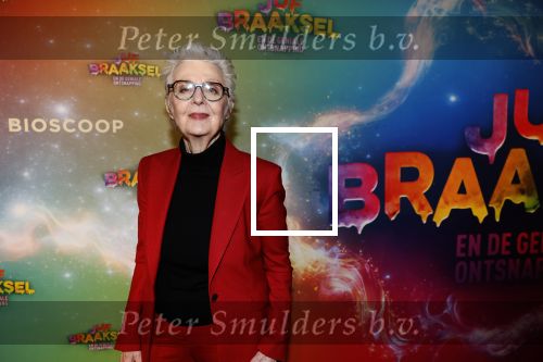 Amsterdam 8 december 2024
Premiere Juf Brakel in Pathe Arena met in de hoofdrollen Nicolette v Dam Martijn Fischer Annette Barlo Ditmar Marlin Flint de Man Floris Gobel Annick Boer Aram v d Rest Bart Oomen Carolina Dijkhuizen ea. Carry Slee