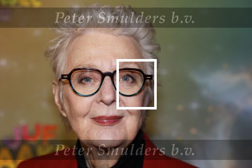 Amsterdam 8 december 2024
Premiere Juf Brakel in Pathe Arena met in de hoofdrollen Nicolette v Dam Martijn Fischer Annette Barlo Ditmar Marlin Flint de Man Floris Gobel Annick Boer Aram v d Rest Bart Oomen Carolina Dijkhuizen ea. Carry Slee