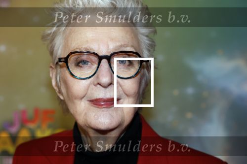 Amsterdam 8 december 2024
Premiere Juf Brakel in Pathe Arena met in de hoofdrollen Nicolette v Dam Martijn Fischer Annette Barlo Ditmar Marlin Flint de Man Floris Gobel Annick Boer Aram v d Rest Bart Oomen Carolina Dijkhuizen ea. Carry Slee