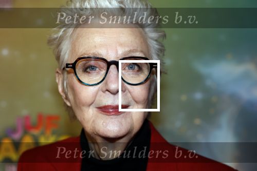 Amsterdam 8 december 2024
Premiere Juf Brakel in Pathe Arena met in de hoofdrollen Nicolette v Dam Martijn Fischer Annette Barlo Ditmar Marlin Flint de Man Floris Gobel Annick Boer Aram v d Rest Bart Oomen Carolina Dijkhuizen ea. Carry Slee