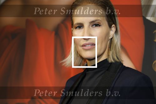 Amsterdam 15 december 2024
Masters Expo in de RAI. Chantal Laurent