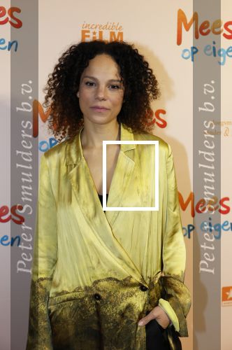Utrecht 22 december 2024
Premiere Mees Kees in Utrecht .Cloe Leenheer
