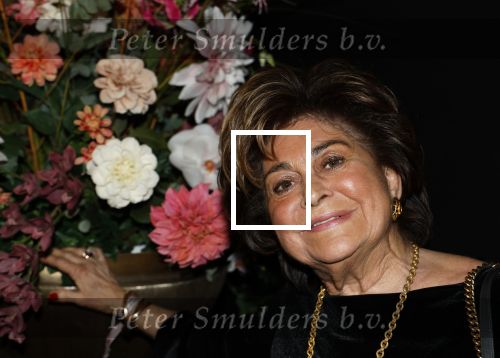 Amsterdam 15 en 16  december 2024
Masters Expo in de RAI. Christine Kroonenberg
