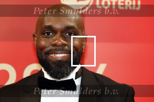Arnhem 18 december 2024
Sportman van het jaar op Papendal. Sportgala. Churandy Martina