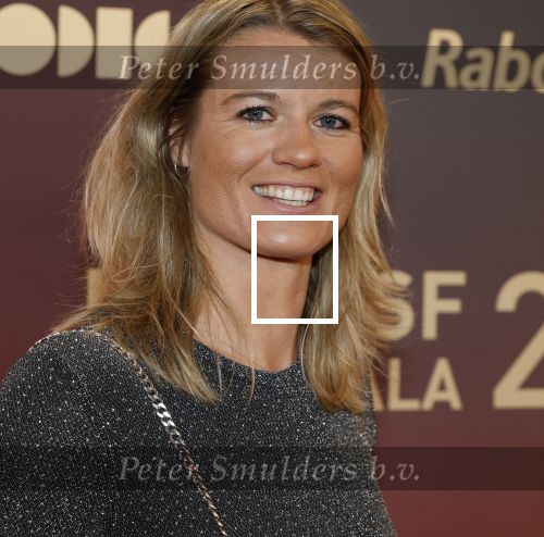 Arnhem 18 december 2024
Sportman van het jaar op Papendal. Sportgala. Dafne Schippers