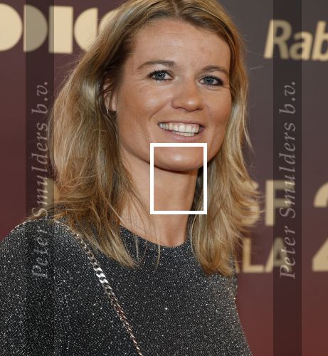 Arnhem 18 december 2024
Sportman van het jaar op Papendal. Sportgala. Dafne Schippers